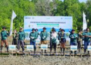 Pemkab Bone Bersama PT Pelindo Kick Off Rehabilitasi Mangrove di Tonra