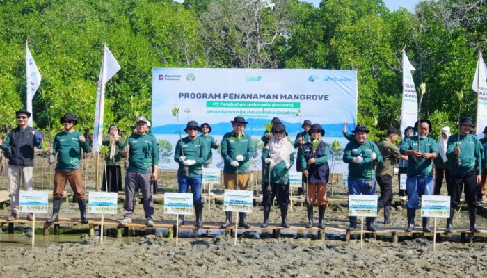 Pemkab Bone Bersama PT Pelindo Kick Off Rehabilitasi Mangrove di Tonra