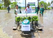 42.000 Hektare IP 300 Serentak Dilaksanakan di Bone, Dipusatkan di Welado