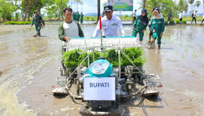 42.000 Hektare IP 300 Serentak Dilaksanakan di Bone, Dipusatkan di Welado