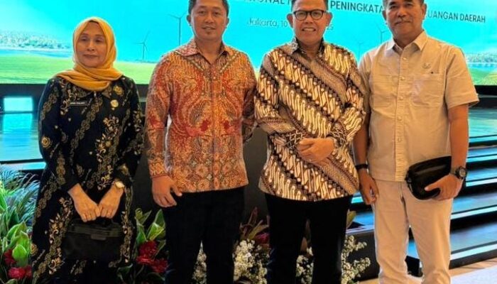 Terbaik Wilayah Sulawesi, Pemkab Bone Raih Penghargaan TPAKD Award 2025
