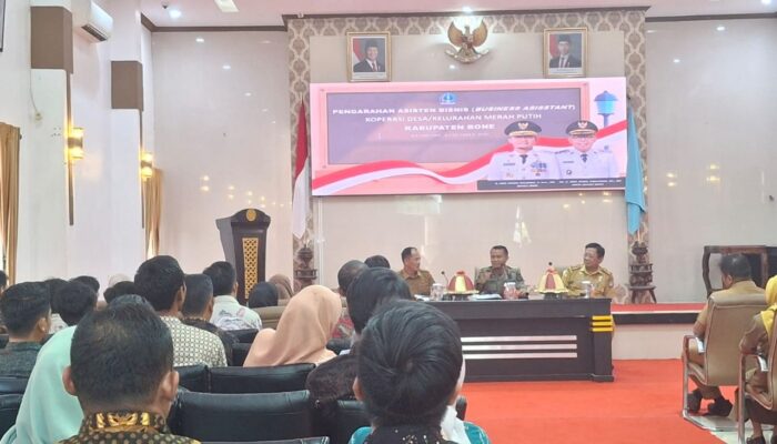 Digaji Rp7,2 Juta, Bupati Bone Minta Asisten Bisnis Serius Kawal Koperasi Merah Putih