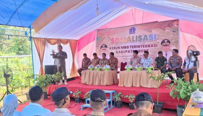 Sosialisasi Kebun MBG Terintegrasi, Bupati Bone Bawa Lima Pilar ke Wanua Lampoko