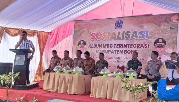 Lima Pilar Belajar ke Wanua Lampoko, Ketua KTNA: Ini Murni Buah Pikiran Bapak Bupati Bone