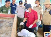 Bupati Bone Puji Inovasi Pemuda Ubah Sampah Jadi Sumber Ekonomi Melalui Budidaya Maggot