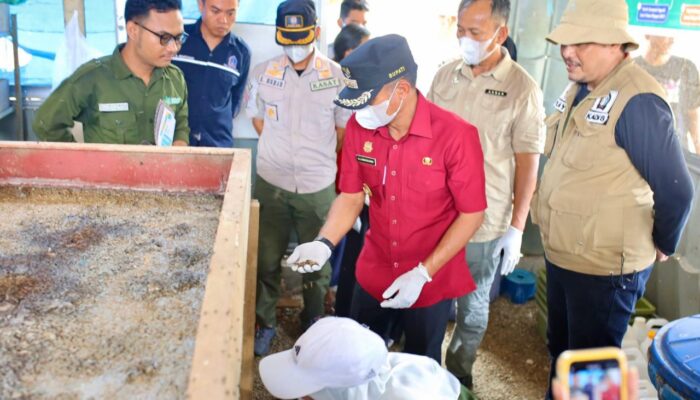 Bupati Bone Puji Inovasi Pemuda Ubah Sampah Jadi Sumber Ekonomi Melalui Budidaya Maggot