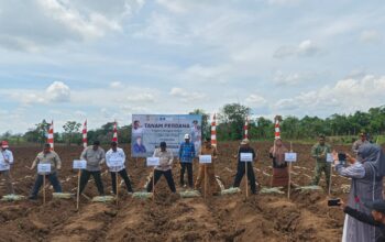 IMG-20251117-WA0050(1)