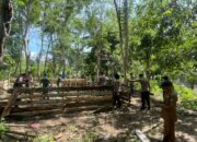 Tim Gabungan Bongkar Arena Judi Sabung Ayam di Desa Bulu Allaporenge