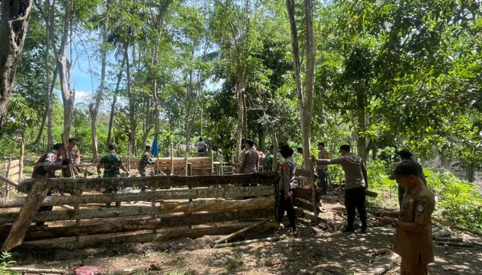 Tim Gabungan Bongkar Arena Judi Sabung Ayam di Desa Bulu Allaporenge