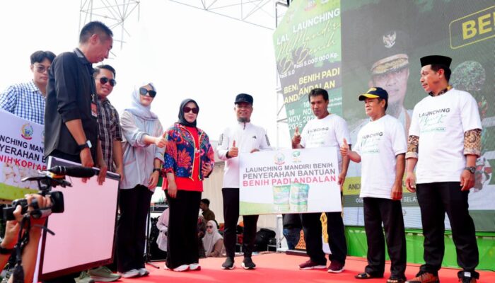 Sulsel Salurkan 5 Juta Kg Benih Padi Gratis untuk Petani, Program Rp75 Miliar Resmi Diluncurkan