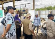 TPA Passippo Berbenah Besar, Bone Optimistis Raih Adipura Lagi