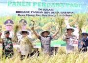 Dari Kadistan hingga Bupati, AAS Konsisten Antar Bone Masuk Lima Besar Produksi Beras Nasional