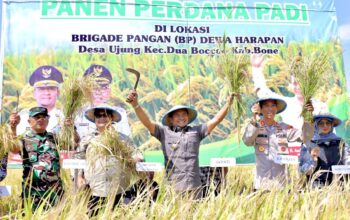 IMG_20251103_213947_897