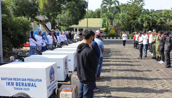Perkuat Daya Saing Usaha Lokal, Bupati Bone Salurkan Bantuan IKM 