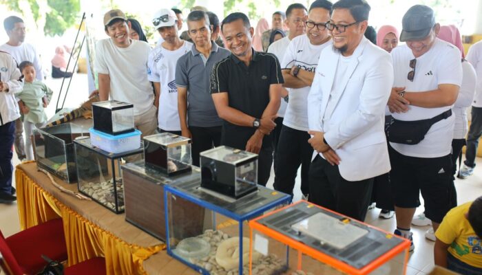 Car Free Day Bone Jadi Ajang Pameran Reptil, Dikungjungi Bupati Wakil Bupati Bone, Ajang Sarana Edukasi