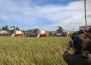 Bupati Bone Panen Raya dengan Alat Pertanian Canggih di Solo, Pacu Produksi Pertanian