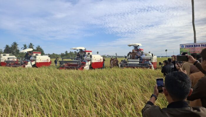 Bupati Bone Panen Raya dengan Alat Pertanian Canggih di Solo, Pacu Produksi Pertanian