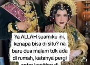 Viral! Suami Izin Antar Kepiting ke Makassar, Ternyata Menikah Lagi Diungkap Isteri Sah