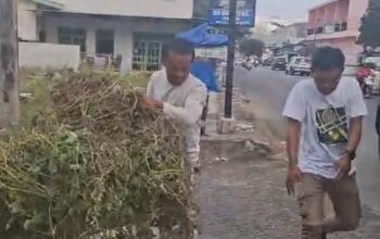 Screenshot_20260216_180105_WhatsApp