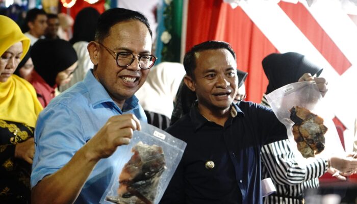 Bupati Bone Didampingi Wabup Bone Resmi Buka Festival Seni Budaya dan Pameran UMKM HJB ke-696