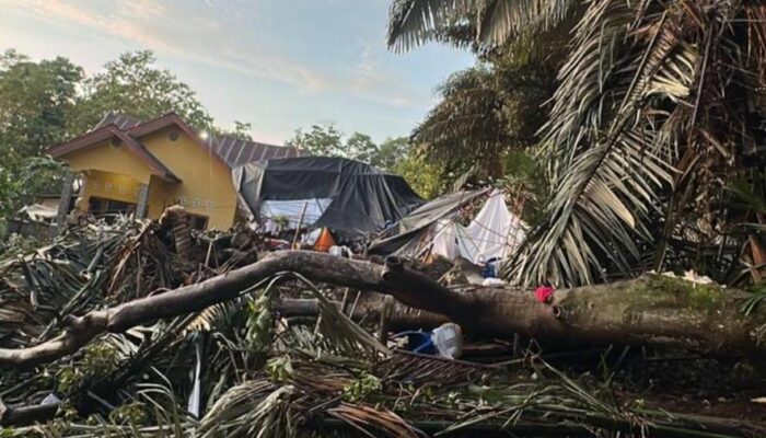 Innalillah, Pesta Pernikahan di Kahu Berujung Duka, Ibunda Pengantin Tewas Tertimpa Pohon Tumbang