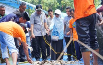 Wabup Panen Nila dan Launching  Memancing, Objek Wisata Tiro Bulu Digadang Jadi Destinasi Favorit Bone