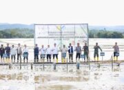 Bupati Bone dan Kementan RI Tanam Perdana PM-ASS di Kahu, Bupati Bone Dorong Modernisasi Pertanian