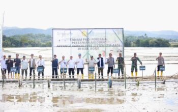 Bupati Bone dan Kementan RI Tanam Perdana PM-ASS di Kahu, Bupati Bone Dorong Modernisasi Pertanian