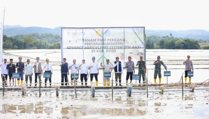 Bupati Bone dan Kementan RI Tanam Perdana PM-ASS di Kahu, Bupati Bone Dorong Modernisasi Pertanian