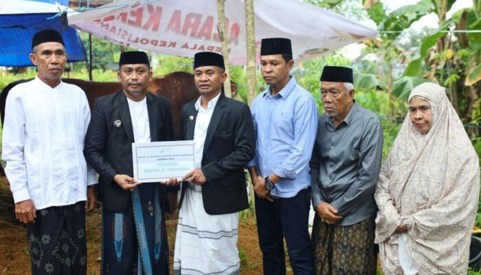 Bupati Bone Serahkan Sapi Kurban Bantuan Presiden Prabowo di Arasoe, Bobot 1,05 Ton Seharga Rp100 Juta