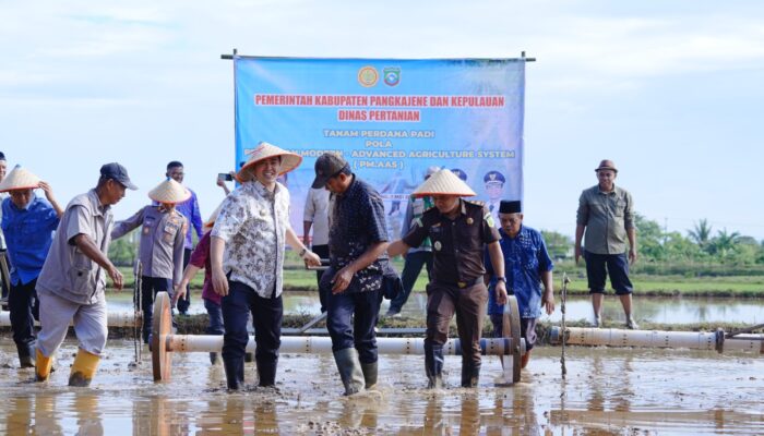 Pangkep Terapkan Pertanian Modern PM-AAS, Target Produksi Padi Naik 9 Ton per Hektare