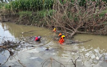 Lansia di Wajo Terseret Arus Irigasi, Tim SAR Gabungan Perluas Pencarian hingga Sungai Walanae