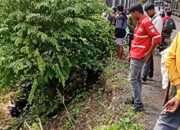 Lakalantas di Jembatan Salo Anrennge Bengo, Pengedara Tak Ditemukan di TKP