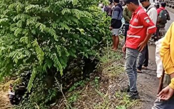 Lakalantas di Jembatan Salo Anrennge Bengo, Pengedara Tak Ditemukan di TKP