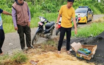 Bayi Laki-laki Ditemukan dalam Kardus di Tonra Bone, Polisi Selidiki Pelaku