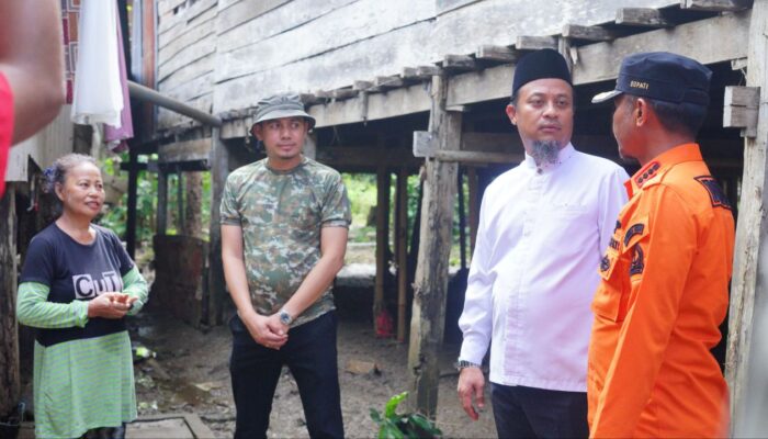 Presiden Prabowo Serahkan 25 Sapi Kurban untuk Sulsel, Gubernur Siapkan Distribusi Ramah Lingkungan ke Penerima Manfaat
