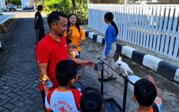 Rujab Bupati Bone Disulap Jadi Kebun Binatang Mini, Jadi Tempat Edukasi Anak TK