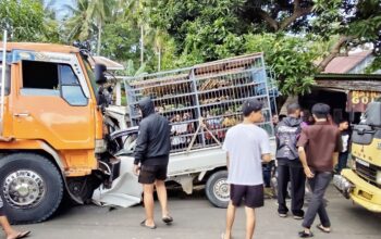 Foto: Penampakan Lakalantas di Desa Sijelling Bone
