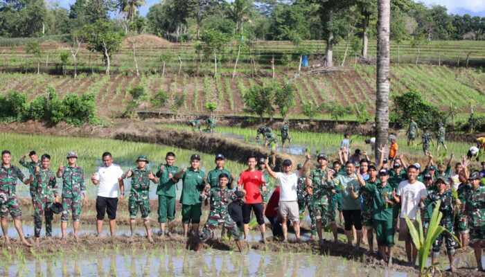 Semangat Ketahanan Pangan, Bupati Bone Pimpin Tanam Padi Bersama TNI dan Masyarakat di Ponre