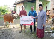Tebar Kepedulian di Hari Raya Kurban, PT Semen Tonasa Salurkan 20 Ekor Sapi untuk Warga