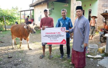 Tebar Kepedulian di Hari Raya Kurban, PT Semen Tonasa Salurkan 20 Ekor Sapi untuk Warga