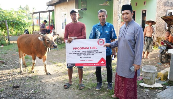 Tebar Kepedulian di Hari Raya Kurban, PT Semen Tonasa Salurkan 20 Ekor Sapi untuk Warga