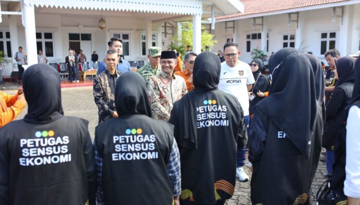 Siap-siap! 903 Petugas SE BPS Bone Mulai Mendata, Sasar Kreator Facebook-Penjual Online