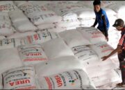 Distribusi Pupuk Bersubsidi di Amali dan Cina Dipastikan Sesuai HET, Verifikasi Tak Temukan Pelanggaran