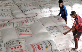 Distribusi Pupuk Bersubsidi di Amali dan Cina Dipastikan Sesuai HET, Verifikasi Tak Temukan Pelanggaran