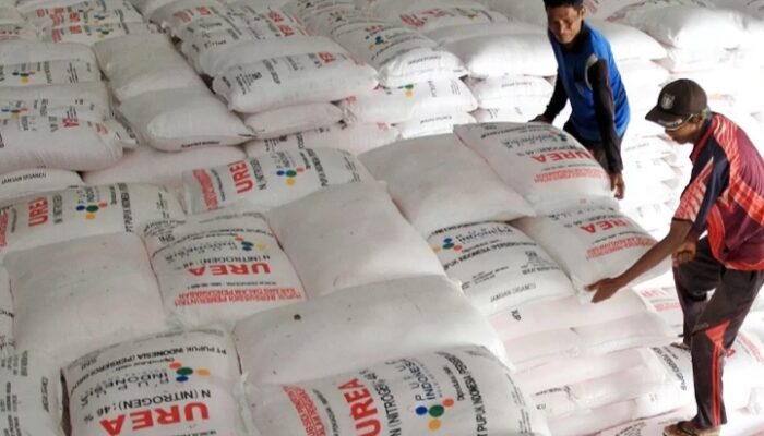 Distribusi Pupuk Bersubsidi di Amali dan Cina Dipastikan Sesuai HET, Verifikasi Tak Temukan Pelanggaran