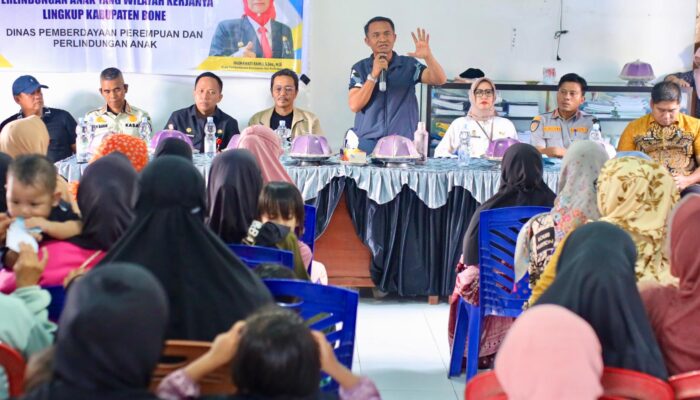 Perangi Kemiskinan dari Desa, Bupati Bone Salurkan Bantuan Bagi Kelompok Rentan di Libureng