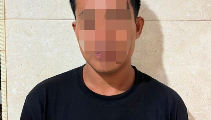 Sakit Hati Lihat Percakapan Istri, Pelaku Penganiayaan Berat di Tellu Siattinge Diamankan