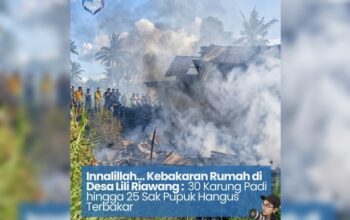 Innalillah, Kebakaran Rumah di Desa Lili Riawang: 30 Karung Padi hingga 25 Sak Pupuk Hangus Terbakar