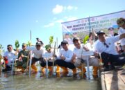 Hari Mangrove Sedunia 2026, Pemprov Sulsel Ajak Kolaborasi Percepat Pemulihan Ekosistem Mangrove di Pangkep